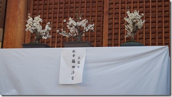 DSC03628 DSC03628