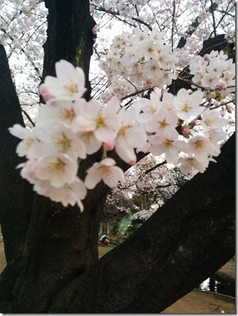 2015-03-30 18.03.04 2015-03-30 18.03.04