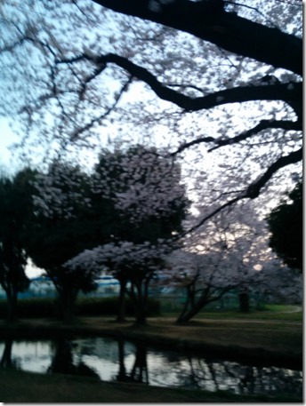 2015-03-30 18.03.37 2015-03-30 18.03.37