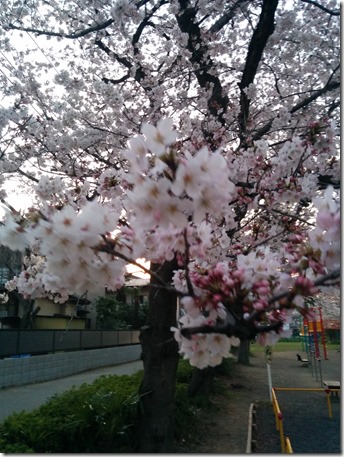 2015-03-30 18.07.12 2015-03-30 18.07.12